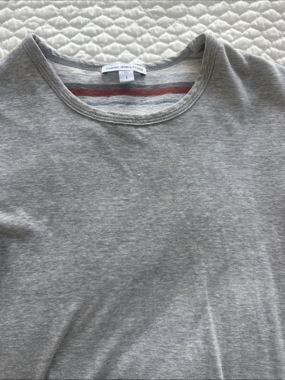 James Perse Light Gray Crewneck T-Shirt with Subtle Red Accent